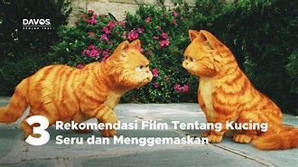 Siapa Yg Kasihan Melihat Kucing Ini Part 2 Full Movie Sub Indo